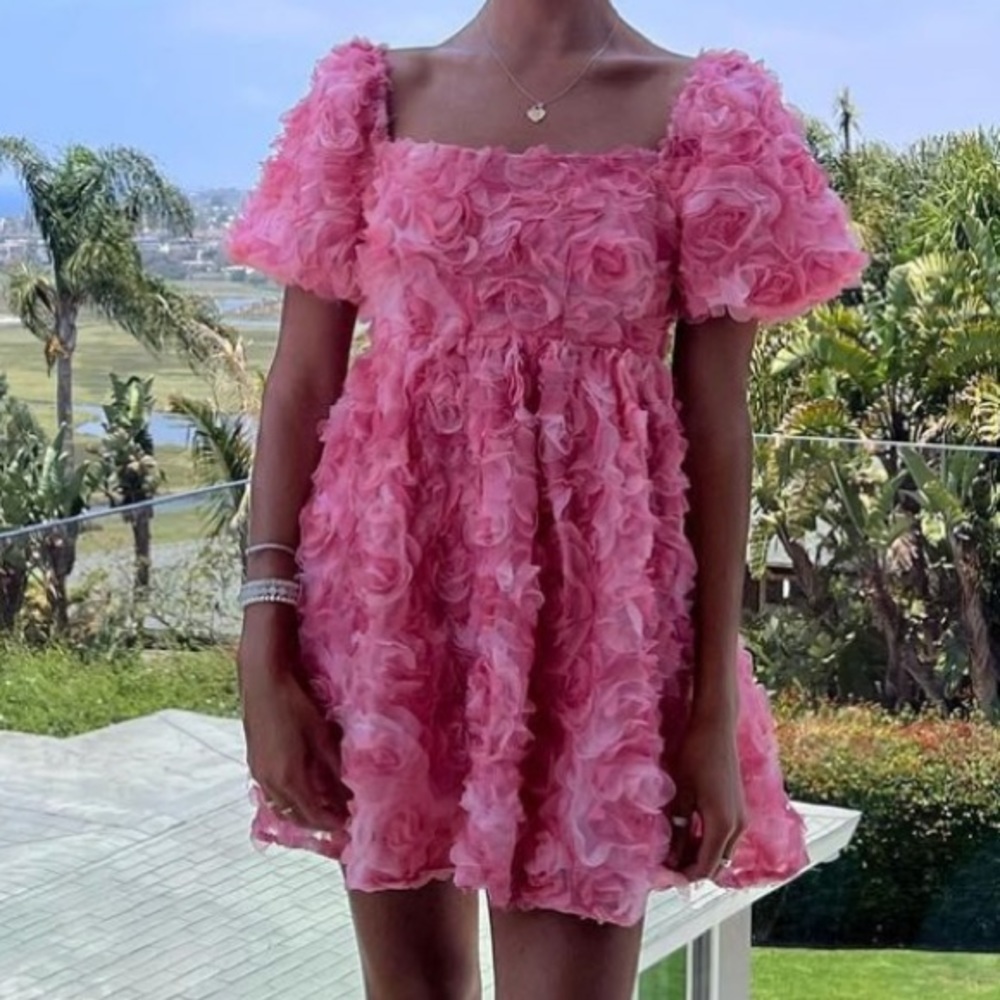 Pink Rose Puff Sleeve Mini Dress size small